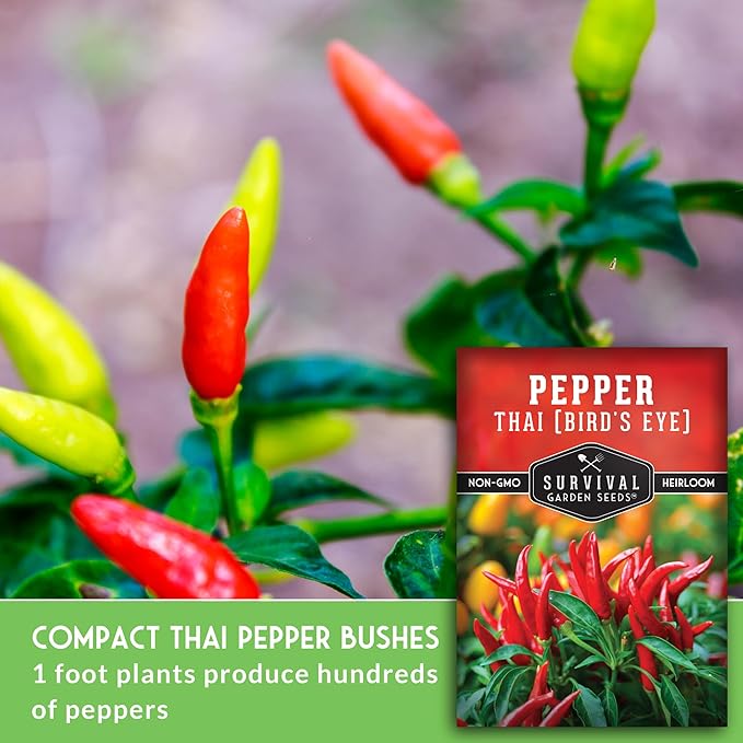 Survival Garden Seeds - Thai Pepper Seed for Planting - 1 Packet with Instructions to Plant & Grow Spicy Hot Bird's Eye Chili Peppers in Your Home Vegetable Garden - Non-GMO Heirloom Variety