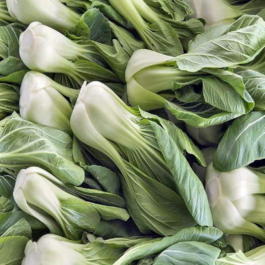 Cabbage Seeds for Planting – Non-GMO Heirloom Vegetable Seeds – Full Instruction Packets to Plant in Your Home Outdoor Garden – Gardening Gift – 200 Bok Choy Cabbage Seeds Per Pack (2 Packets)