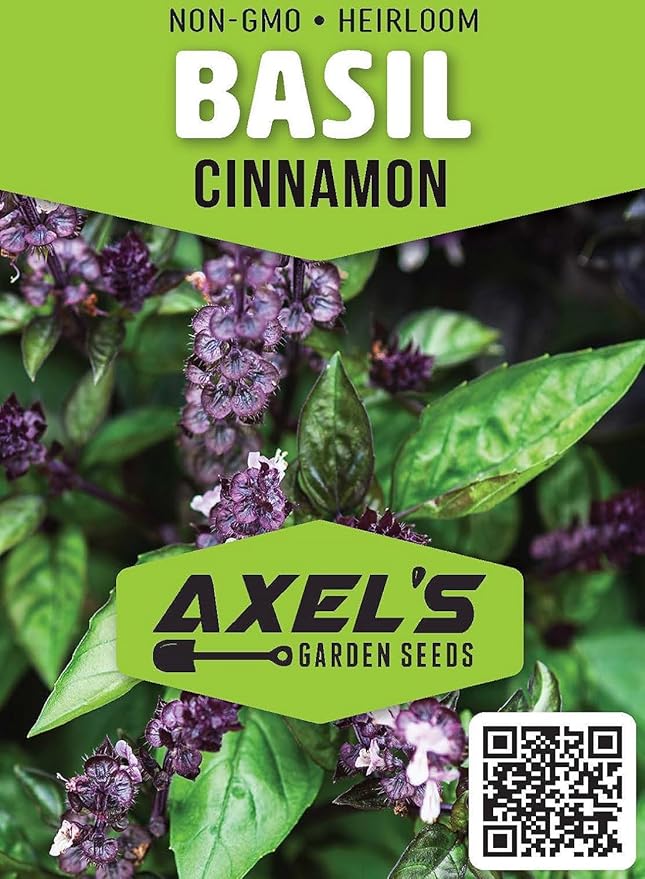 Cinnamon Basil Seeds for Planting Heirloom Non GMO Packets 750 Seeds – Plant & Grow Cinnamon Basil Indoor Hydroponics or Outdoor Gardening, Great Gardening Gift – 3 Packets, Purple
