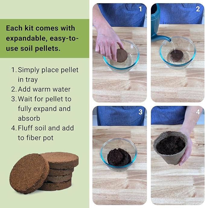 Sow Right Seeds - Genovese Basil Garden Kit - Non-GMO Heirloom Herb Seeds for Planting Indoors - Includes Pots & Potting Soil - Complete Growing Set-Up for Home Garden - Makes a Good Gardening Gift