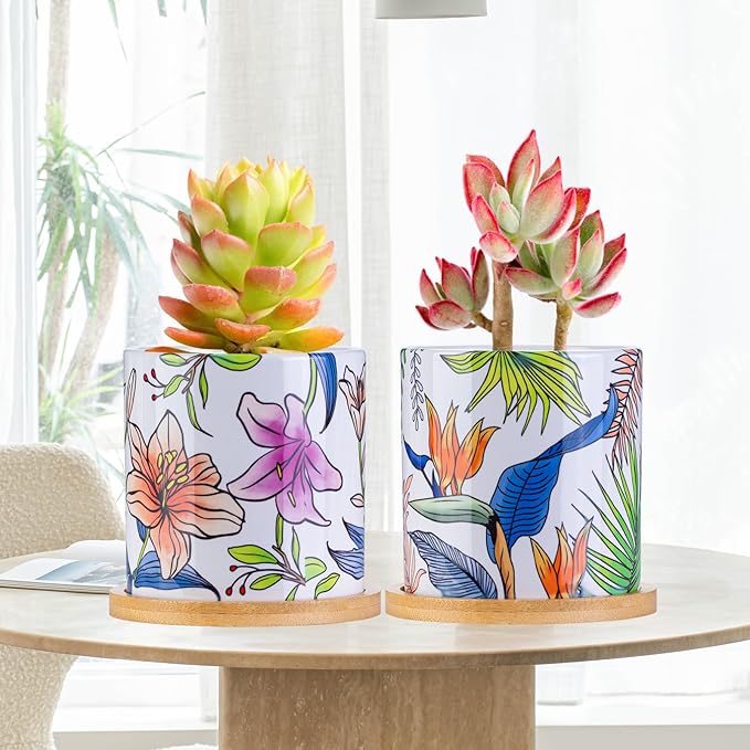 Succulent Pots for Plants, 3.1 Inch Ceramic Planter Pot with Drainage Holes and Bamboo Tray, Home Decor, Set of 6 - Plants Not Included