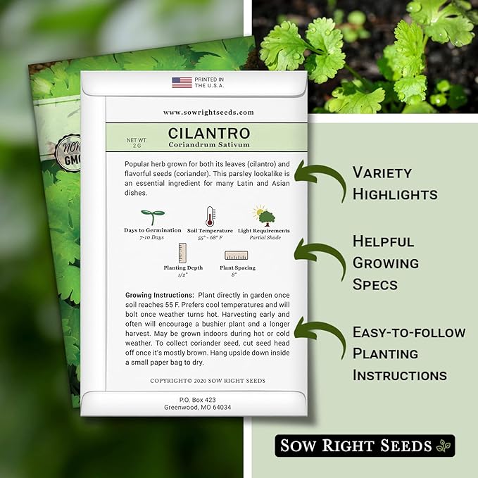 Sow Right Seeds - Cilantro Seeds for Planting - Non-GMO Heirloom Packet with Instructions to Grow a Kitchen Herb Garden - Great Addition to Your Cooking - Make Coriander Seasoning - Zesty Herb (3)