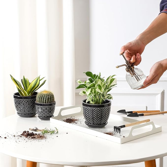 Sureasy Succulent Pots, 3.5 Inch Flower Pots for Indoor Plants, Small Plant Pots with Saucer & Drainage, Decorative Ceramic Planters for Succulent, Cactus, Set of 4, Black