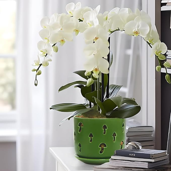 Set of 2 Orchid Pots with Holes & Saucers for Orchid Root Health, 5 inch&6 inch Ceramic Pots for Plants, Effective Drainage and Ventilation to Assist New Plants or Repotting (Patina-2, 5&6)