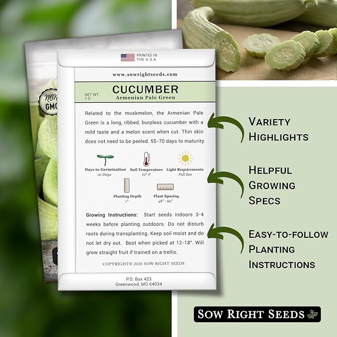 Sow Right Seeds - Armenian Pale Green Cucumber Seeds for Planting - Non-GMO Heirloom Packet with Instructions to Plant and Grow a Home Vegetable Garden - Yard Long Variety for Outdoors (2)