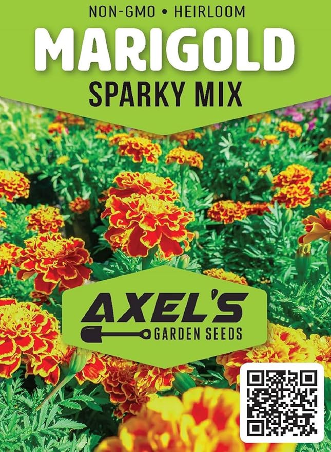 French Marigold Seeds for Planting - Plant & Grow Heirloom French Marigolds in Home Outdoor Garden – Planting Instructions for Vibrant Rare Blooms – Great Gardening Gift, 2 Packets, Orange, Red