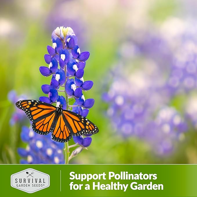 Texas Bluebonnet Seed for Planting - 5 Packets with Instructions to Plant & Grow Lupinus Texenisis in Your Home Wildflower Garden - Non-GMO Heirloom Variety- Survival Garden Seeds - Drought Resistant