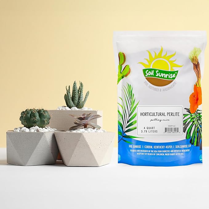 Horticultural Perlite Soil Additive (4 Quarts); for Enhanced Potting Mix Drainage and Growth