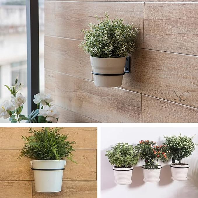 Plant Holder Ring 8 Inch Wall Mounted, 6 Pack Flower Pot Hangers Metal Plant Stand Hanging Bracket Basket Hooks