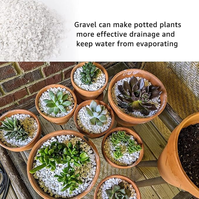 Anothera 7LB Succulent and Cactus Bonsai DIY Rocks, White Onyx, Gravel for Terrarium, Fairy Gardening, Top Dressing,（6mm-8mm）