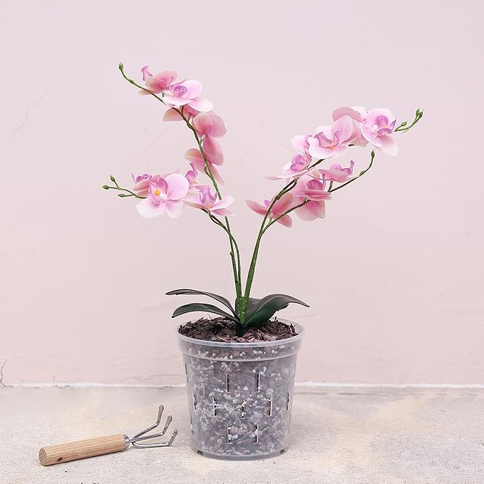 TRUEDAYS 4 Pack Orchid Pots with Holes, 6 Inch Clear Plastic Pots for Plants, Flowers