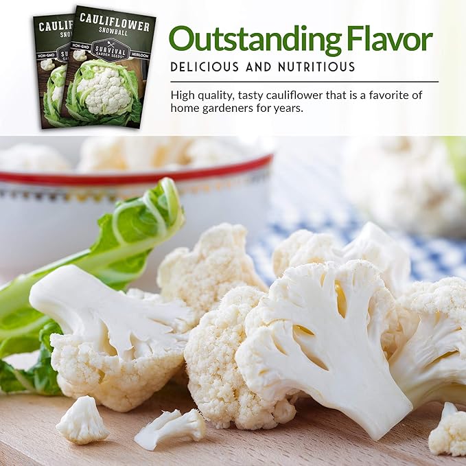 Snowball Cauliflower Seed for Planting - 2 Packets with Instructions to Plant & Grow Amazing White Vegetables in Your Home Vegetable Garden - Non-GMO Heirloom Variety - Survival Garden Seeds
