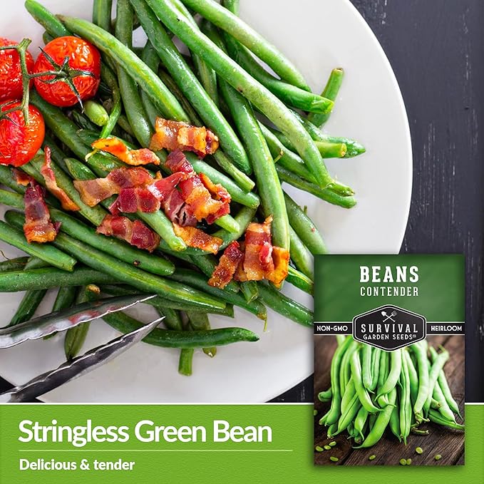 3 Packs Contender Bush Bean Seed for Planting with Instructions to Grow Delicious & Stringless Green Beans in Your Home Vegetable Garden - Non-GMO Heirloom - Survival Garden Seeds
