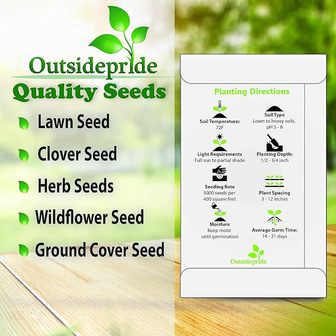 Outsidepride 10000 Seeds Annual Yellow Mustard Herb Garden Seed for Microgreens, Sprouts, & Cooking