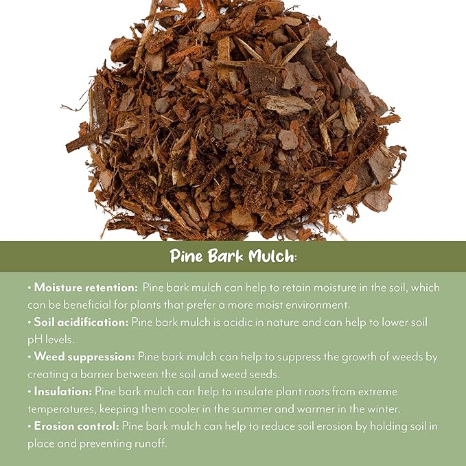 100% Natural Pine Bark Mulch Nuggets (10 Quarts), Small Mulch Chips for Indoor/Outdoor Container Gardening, Ideal for Soil Supplement, Houseplant Mulch, and Terrariums