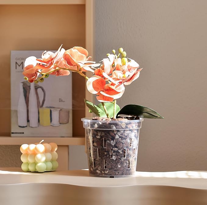 TRUEDAYS Orchid Pot - 4 Pack 4 Inch Clear Plastic Orchid Plant Pots with Drainage Holes for Indoor Outdoor Live Plants for Repotting
