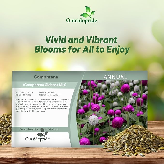 Outsidepride 1000 Seeds Annual Gomphrena Globosa Flower Seed Mix for Planting