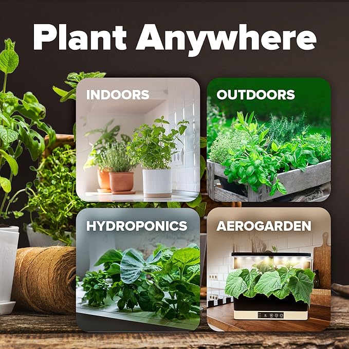 HOME GROWN 12 Fall Vegetable Seeds - USA Heirloom Non GMO Fall & Winter Vegetable Seeds for Planting Home Garden: Beets, Broccoli, Cabbage, Kale, Onion, Peas, Pumpkin, Turnip, Lettuce & More