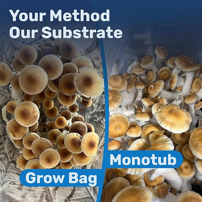 Surfin' Spores Premium Plant-Based Mushroom Substrate - 5 lbs Expert Mycologist Blend of Coco Coir, Vermiculite & Gypsum, Pasteurized & Odor-Free, Long Shelf-Life, Ideal for Monotub Cultivation