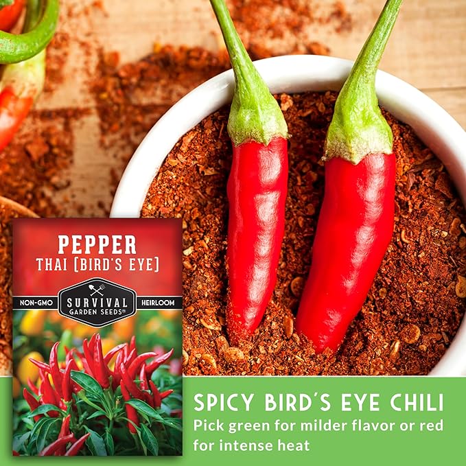 Survival Garden Seeds - Thai Pepper Seed for Planting - 1 Packet with Instructions to Plant & Grow Spicy Hot Bird's Eye Chili Peppers in Your Home Vegetable Garden - Non-GMO Heirloom Variety
