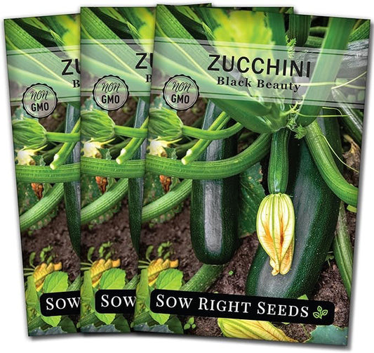 Sow Right Seeds - Black Beauty Zucchini Seeds for Planting - Non-GMO Heirloom Packet with Instructions to Plant a Home Vegetable Garden - Summer Squash - Classic Zucchini Good for Large Containers (3)