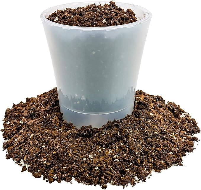 Money Tree Potting Soil, Soil Mix for Planting or Repotting Guiana Chestnut, Soil Blended to Properly Grow Money Tree Plants - (4 Quart Bag)