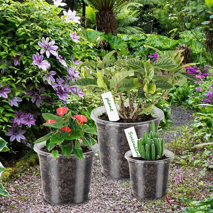 PEYOU 48 Packs 5/4/3.5 Inch Reinforced Clear Nursery Pots with Drainage Hole, Transparent Variety Pack Plastic Plant Pot Seedling Planter Seed Starter Flower 48pcs Labels