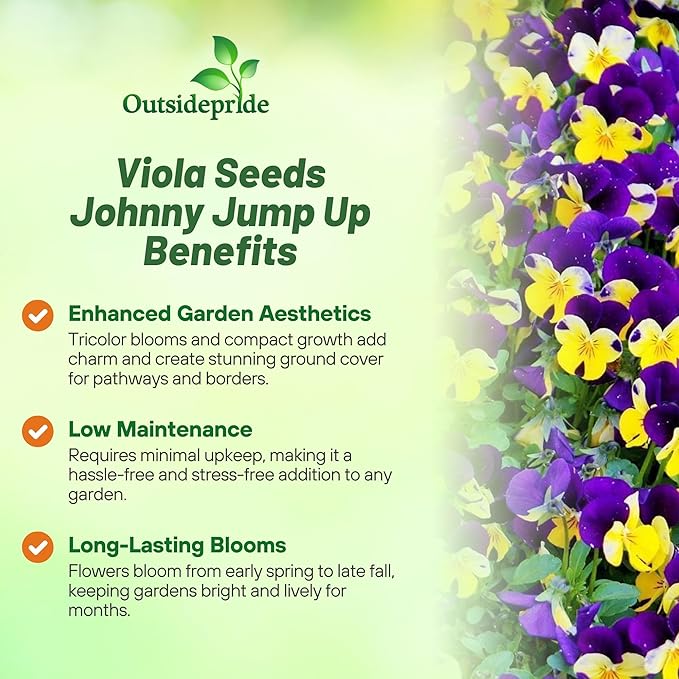 Outsidepride 5000 Seeds Perennial Viola Johnny Jump Up Flower Seeds for Planting