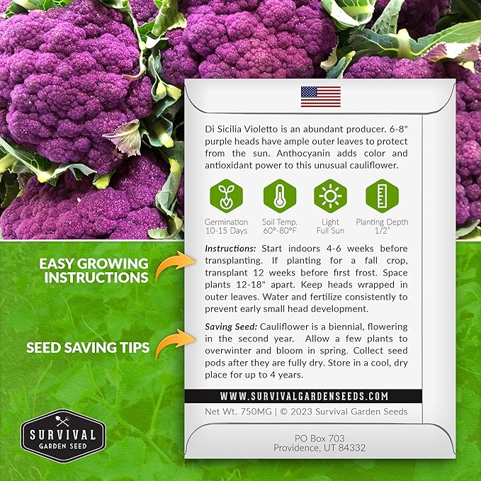 Di Sicilia Violetto Purple Cauliflower Seed for Planting - 5 Packets with Instructions to Plant & Grow Unique Cauliflower Plants in Your Home Garden - Non-GMO Heirloom Variety - Survival Garden Seeds