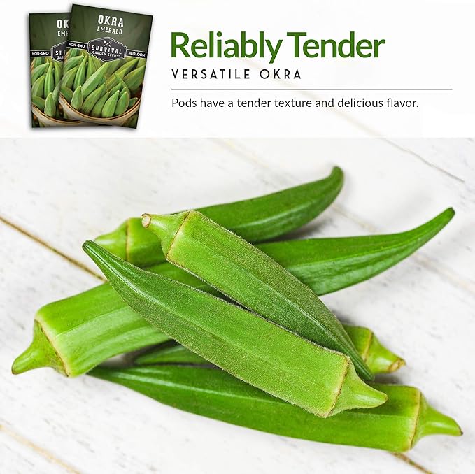 Survival Garden Seeds - Emerald Okra Seed for Planting - Packet with Instructions to Plant and Grow Tender and Large Okra in Your Home Vegetable Garden - Non-GMO Heirloom Variety - 5 Pack