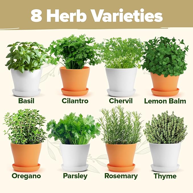 HOME GROWN Deluxe 8 Herb Garden Kit – Unique Mother's Day Gardening Gift for Women, Mom, Her – Perfect Kitchen Gifts for Gardeners, Friends, New Home, Housewarming, and Herb Plant Starter Kit