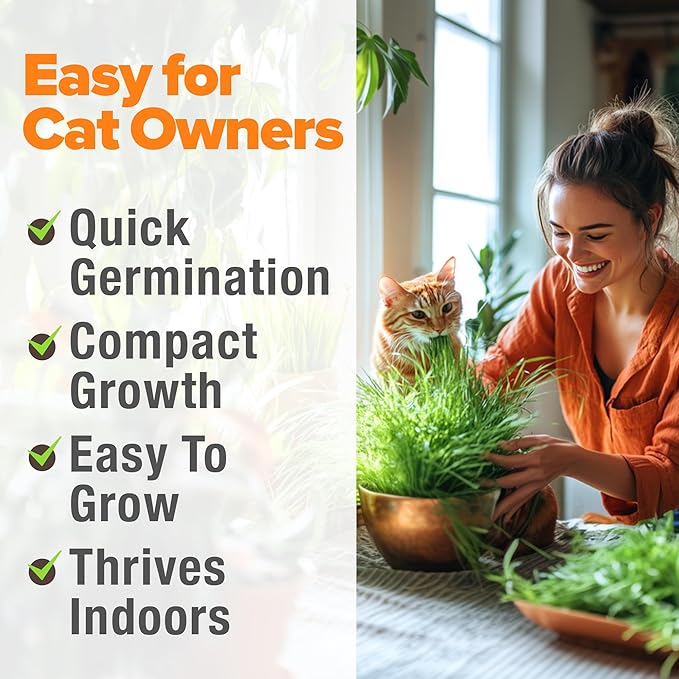 HOME GROWN Organic Cat Grass Seeds Pack 8oz – 7200 𝗡𝗢𝗡-𝗚𝗠𝗢 𝗨𝗦𝗔-𝗦𝗢𝗨𝗥𝗖𝗘𝗗 Heirloom Oat & Barley Grass Seeds for Indoor Cats – High Germination Hairball Relief, Pet Grass Ready in 7Days