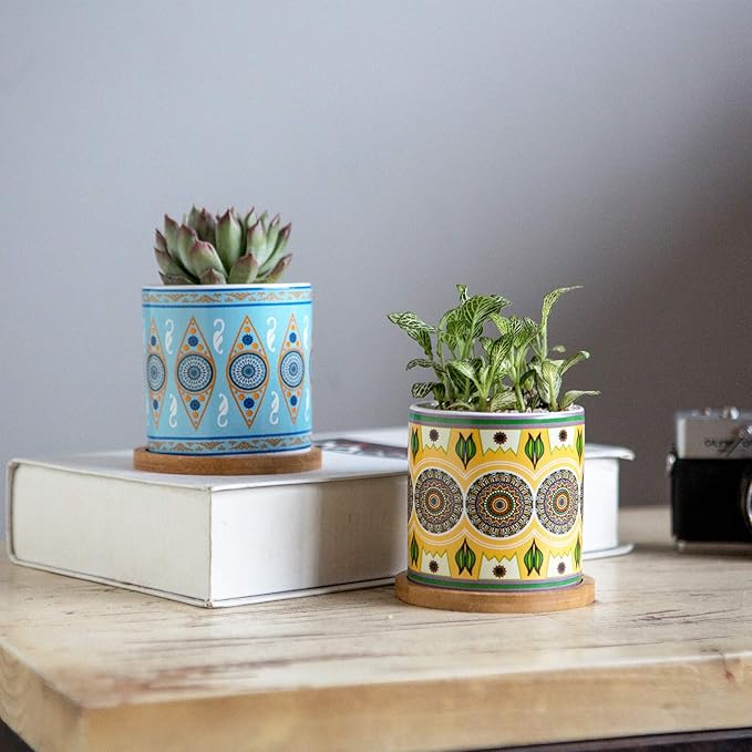 Succulent Plant Pots - 3.1 inch Ceramic Succulent Planter -Cylinder Flower Pots for Cactus with Drainage Hole and Bamboo Tray, 6 Pack (Multicolor1)