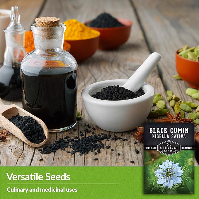Black Cumin Seed for Planting - 5 Packets with Instructions to Plant and Grow Beneficial Nigella Sativa Plants in Your Home Vegetable Garden - Non-GMO Heirloom Variety - Survival Garden Seeds