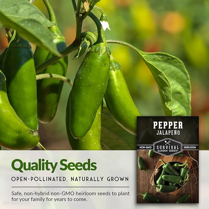 Survival Garden Seeds - Jalapeño Pepper Seed for Planting - Packet with Instructions to Plant and Grow Green or Red Chili Peppers in Your Home Vegetable Garden - Non-GMO Heirloom Variety - 5 Pack