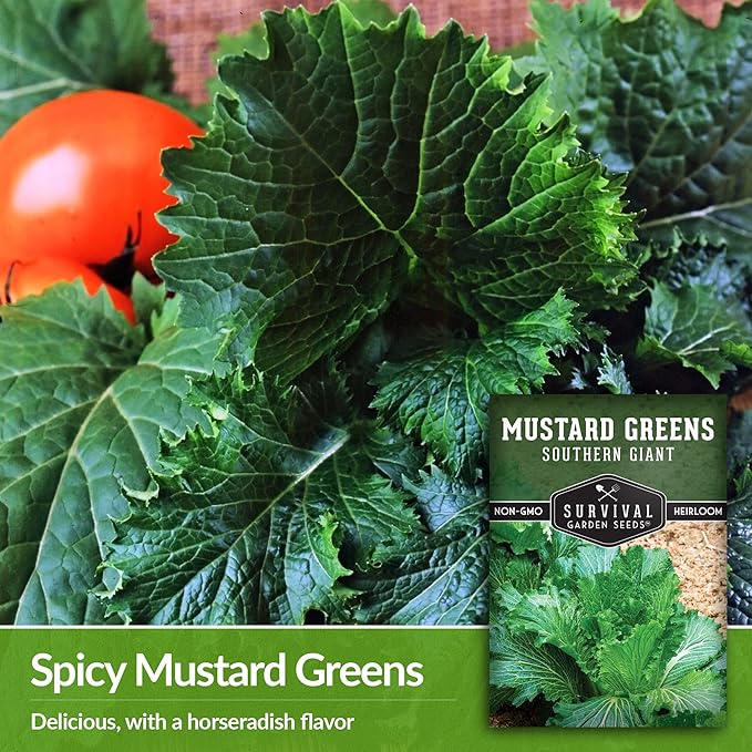 Survival Garden Seeds - Southern Giant Mustard Greens Seed for Planting - 5 Packets with Instructions to Grow Spicy Brassica Juncea Leaves in Your Home Vegetable Garden - Non-GMO Heirloom Variety