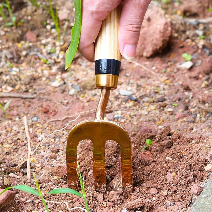 CYRUS Garden Tool Set, 3 Piece Stainless Steel Hand Trowel, Includes Hand Trowel, Transplanting Shovel and Hand Rake with Ash Wood Handle for Planting, Maintaining Lawns and Gardens, Rose Gold