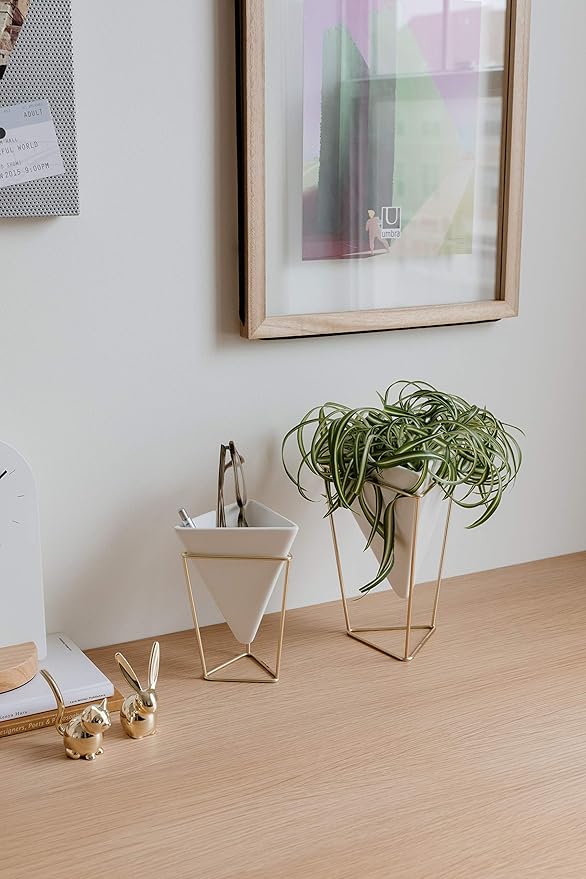 Umbra - 1004372-524 Trigg Desktop Planter Vase & Geometric Container-for Succulent, Air, Mini Cactus, Faux Plants and More, Desk, White/Brass