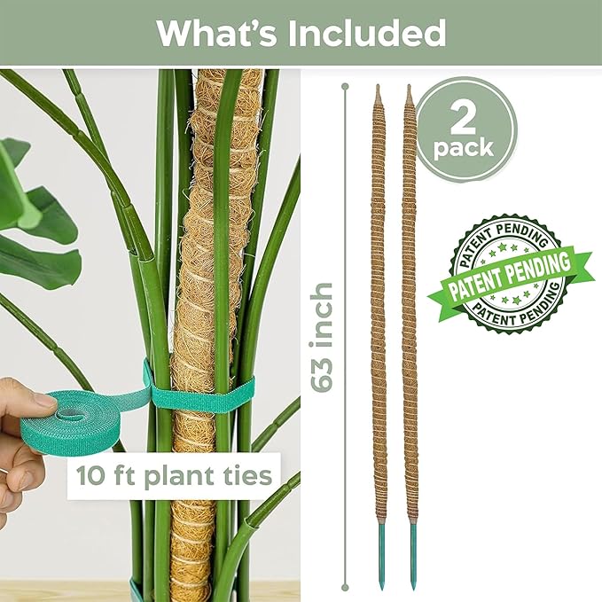 2 Pack 63'' Bendable Moss Pole Monstera Plant Support for Climbing Indoor Plants - Stakes for Potted Climbers - Tall Sticks Indoor Trellis for Houseplants - Accessories for Monstera Pot