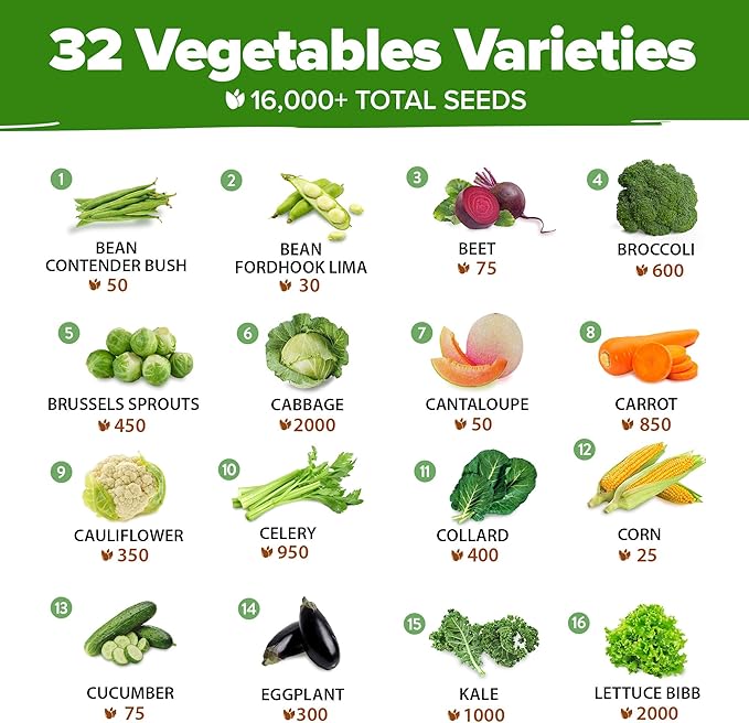 32 Heirloom Vegetable and Fruit Seeds for Planting - 16,000+ Seeds | Non-GMO Survival Seed Vault | High Germination | 32 Varieties of Vegetable Seeds for Your Home Survival Garden