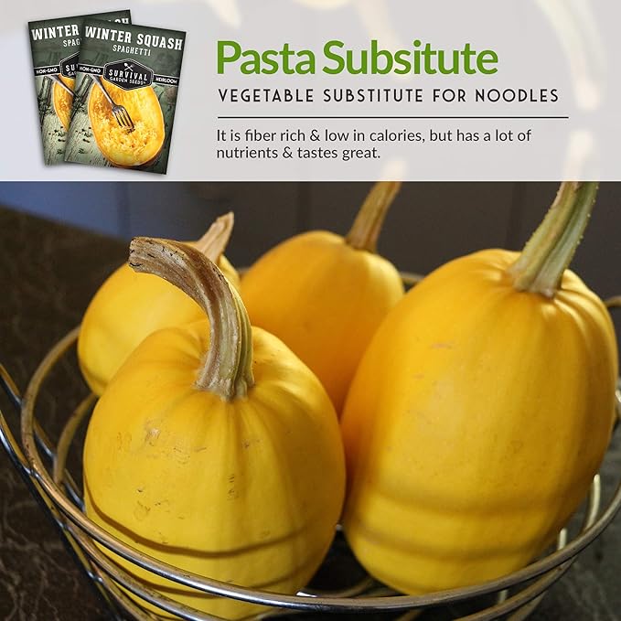 Survival Garden Seeds - Spaghetti Squash Seed for Planting - 5 Packets with Instructions to Plant and Grow Low Carb Healthy Winter Squash in Your Home Vegetable Garden - Non-GMO Heirloom Variety