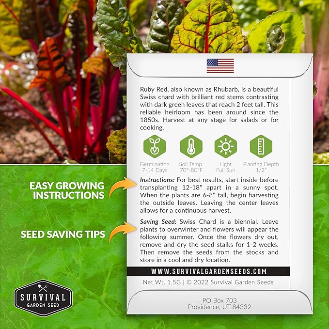 Survival Garden Seeds - Ruby Red Rhubarb Swiss Chard Seed for Planting - 5 Packs with Instructions to Plant and Grow Delicious Leafy Greens in Your Home Vegetable Garden - Non-GMO Heirloom Variety