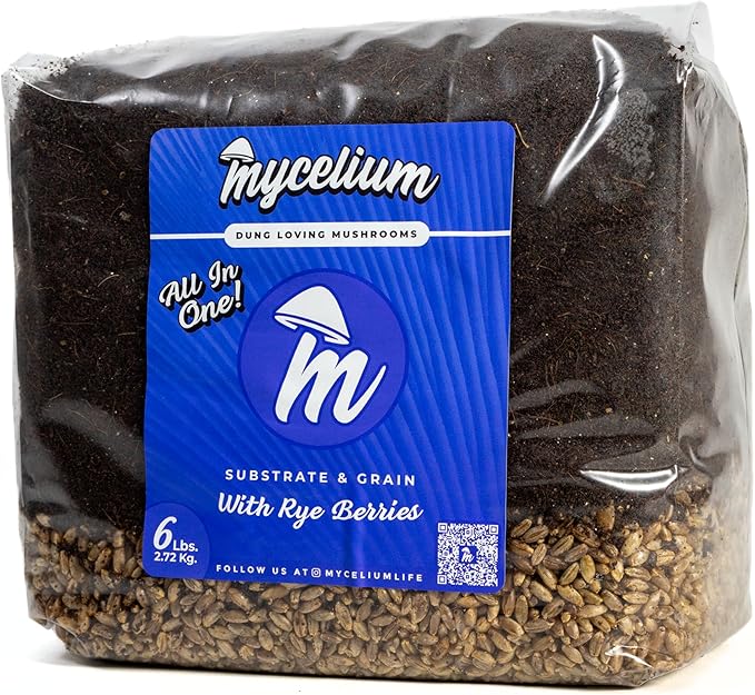Mycelium's Superior Dung-Loving Mushroom Substrate & Rye Berries Grain 6 LB All-in-One Bag – Organic Coco Coir, Vermiculite & Gypsum Formula, Pre-Sterilized & Ready for Easy Home Cultivation