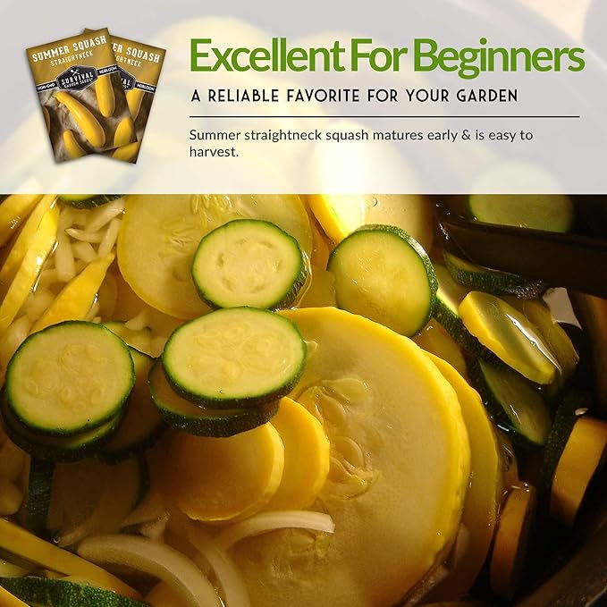 Survival Garden Seeds - Straightneck Summer Squash Seed for Planting - 5 Packs with Instructions to Plant and Grow Yellow Squash in Your Home Vegetable Garden - Non-GMO Heirloom Variety