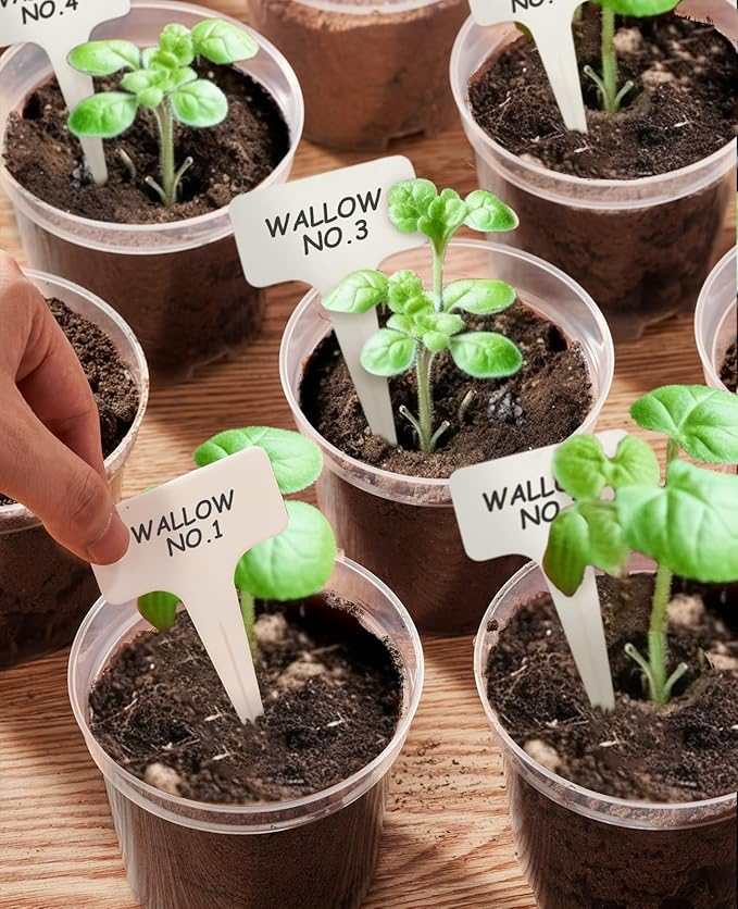 homenote Clear Nursery Pots for Plants,4 Inch Plant Pot for Planting Plastic Seedling with Drainage Holes Seed Starter Flower High Transparency 20 Labels Exclusive Material Excellent Hardness(30 Pack)