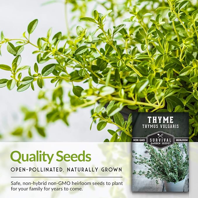 Survival Garden Seeds - Thyme Seed for Planting - 3 Packs with Instructions to Plant and Grow Thymus Vulgaris Herb Plants in Your Home Vegetable Garden - Non-GMO Heirloom Variety - Herb Garden