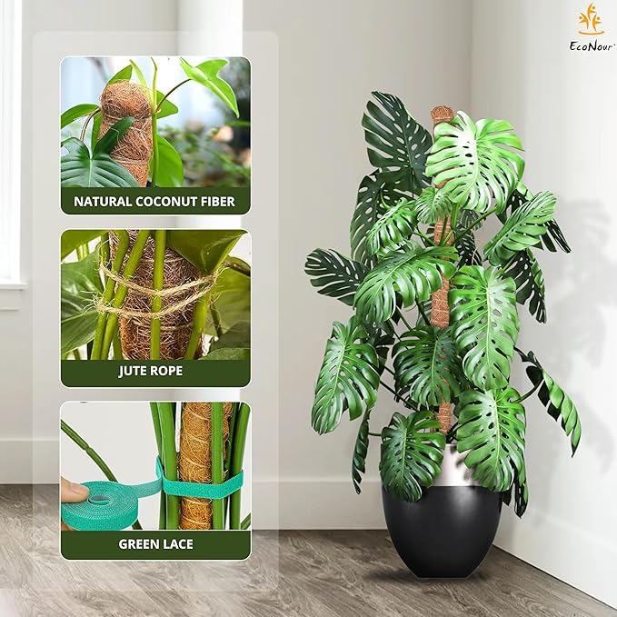 EcoNour Moss Pole for Plants – 48 inches 2 Pack | Monstera Plant Support for Plant Climbing and Growth | Elevate Your Indoor Garden, Plant Support for Indoor Potted Plants to Grow Upwards