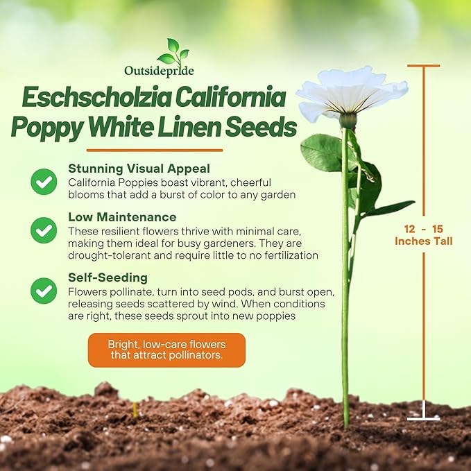 Outsidepride 1 lb. Annual Eschscholzia California Poppy White Linen Wild Flower Seeds