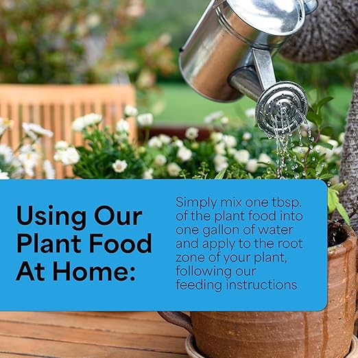 Grow More All-Season's Plant Food (20-20-20 Fertilizer) - 1.5lbs of All Purpose Fertilizer - Water Soluble Plant Food for Houseplants with Chelated Micronutrients