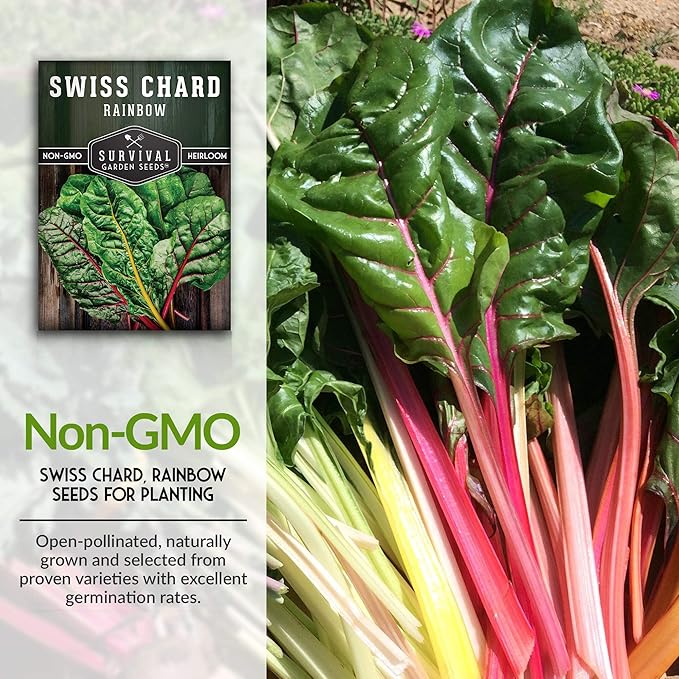 Survival Garden Seeds - Rainbow Swiss Chard Seed for Planting - 3 Packs with Instructions to Plant and Grow Colorful Stalked Vegetable Greens in Your Home Vegetable Garden - Non-GMO Heirloom Variety